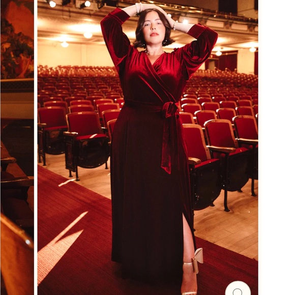 Ivy city ANDIE DRESS IN WINE VELVET - Picture 5 of 8